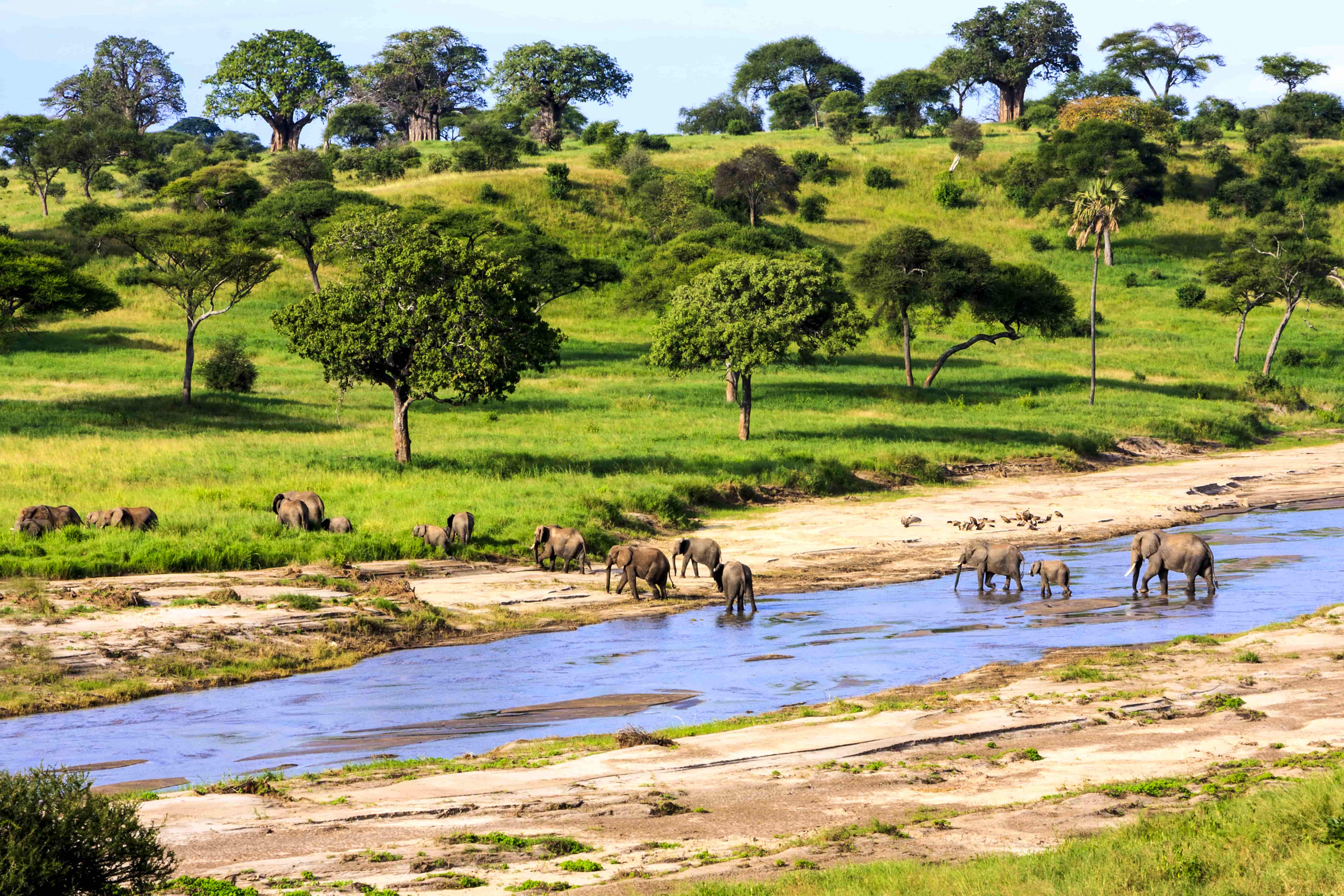 Tarangire National Park